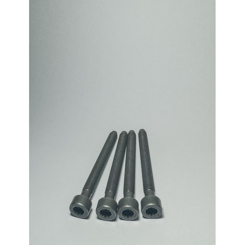 VIS INJECTEUR 1.4/1.9 TDI PD - OEM (X4)